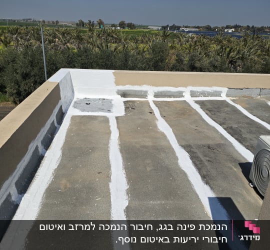 גג עם קווים לבנים של חומר איטום